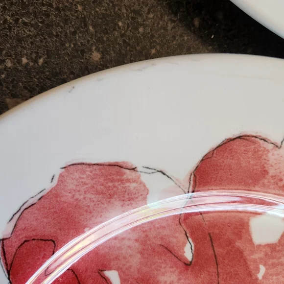 12 Royal Stafford Burlsem Red Poppy Flower Plates 6 Dinner & 6 salad. - Picture 5 of 6